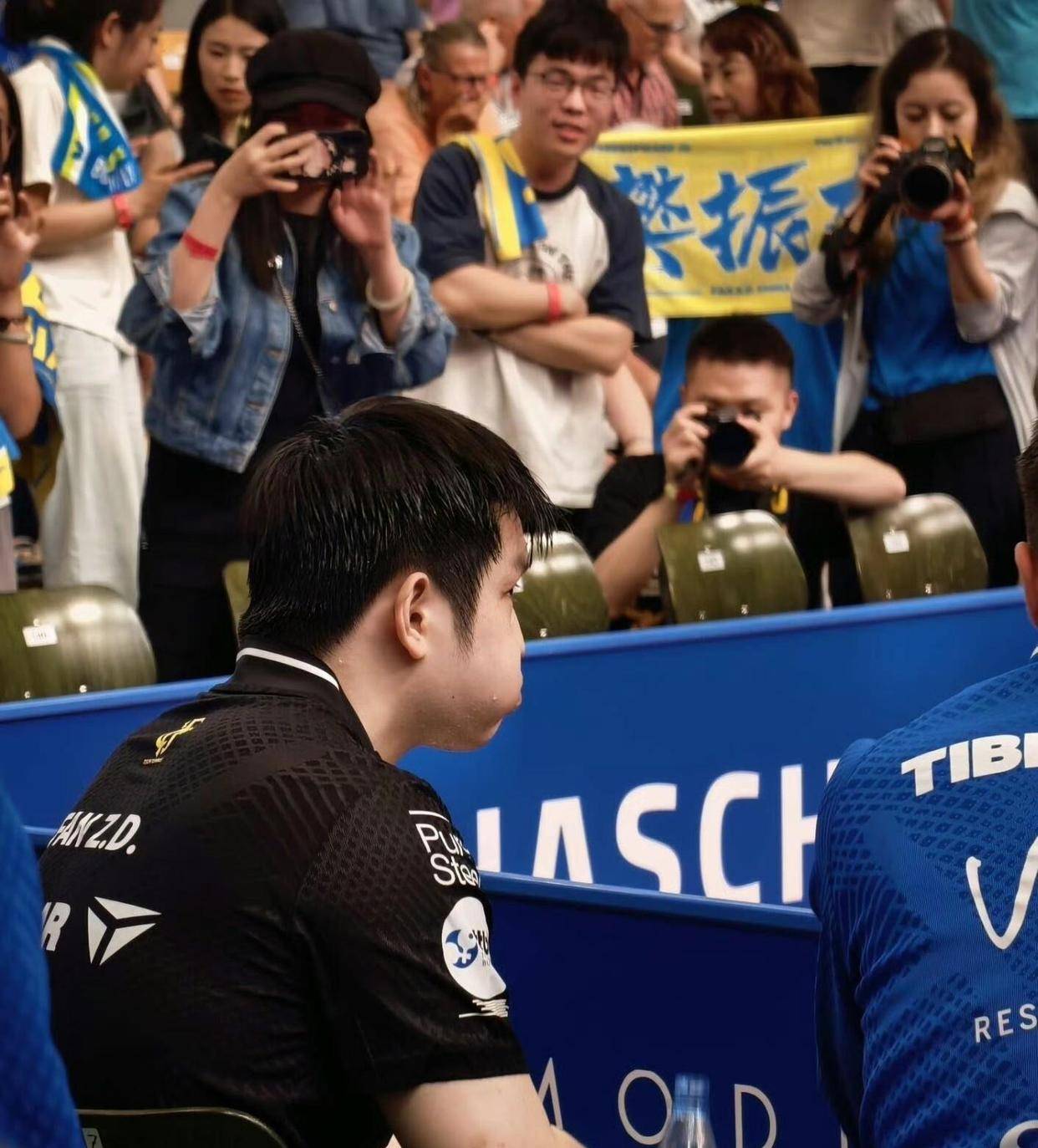 请善待他！在德甲所有人对樊振东都了若指掌，他却对他们一无所知